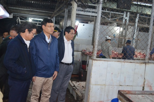 Phó Chủ tịch UBND thành phố Hồ Kỳ Minh (áo xanh, giữa) dẫn đầu đoàn kiểm tra- Ảnh: danang.gov.vn