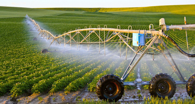 Nông nghiệp ứng dụng công nghệ cao.