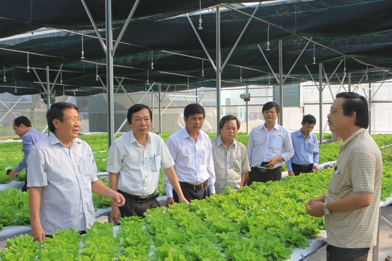 Quảng Trị đã có chủ trương giao chỉ tiêu cho mỗi huyện, thị phải xây dựng được từ 1-2 mô hình sản xuất nông nghiệp sạch.