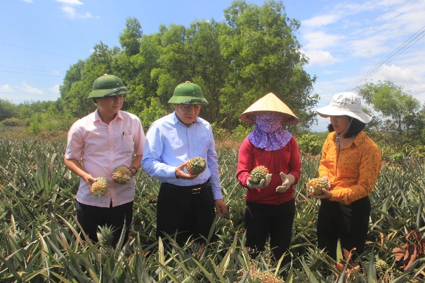 Lãnh đạo tình Quảng Trị kiểm tra tình hình xây dựng nông thôn mới tại huyện Cam Lộ .