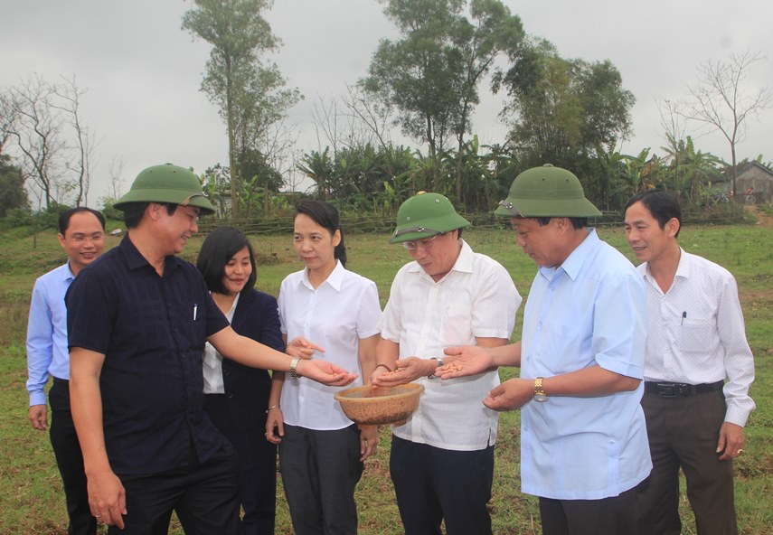 Phó Chủ tịch UBND tỉnh Hà Sỹ Đồng kiểm tra tình hình sản xuất nông nghiệp đầu năm .