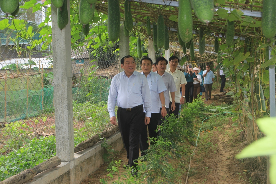Lãnh đạo tỉnh Quảng Trị kiểm tra tình hình xây dựng NTM tại huyện Cam Lộ.