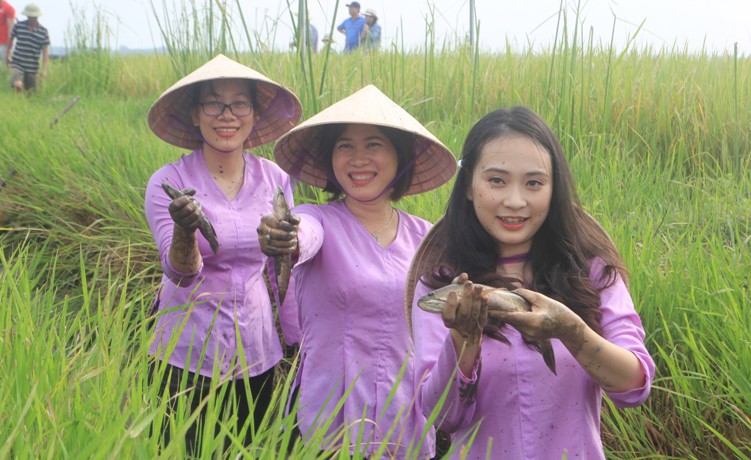 Không chỉ giúp môi trường không còn bị ô nhiễm, người nông dân trên những cánh đồng lúa hữu cơ tại tỉnh Quảng Trị rất phấn chấn vì đón những vụ mùa bội thu