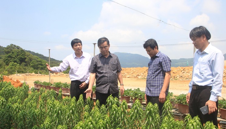 Ông Nguyễn Đức Chính, Chủ tịch UBND tỉnh Quảng Trị cho rằng: Tiềm năng đất đai, khí hậu ở khu vực đèo Sa Mù rất phù hợp phát triển nhiều sản phẩm nông nghiệp công nghệ cao.