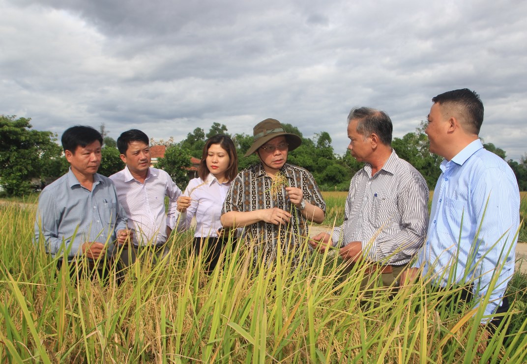 Phó Chủ tịch Quốc hội Phùng Quốc Hiển thăm mô hình sản xuất lúa hữu cơ tại HTX Phước Thị, xã Gio Mỹ, Gio Linh.