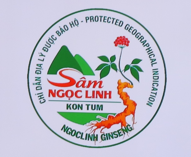 Biểu tượng logo Chỉ dẫn địa lý sâm Ngọc Linh Kon Tum