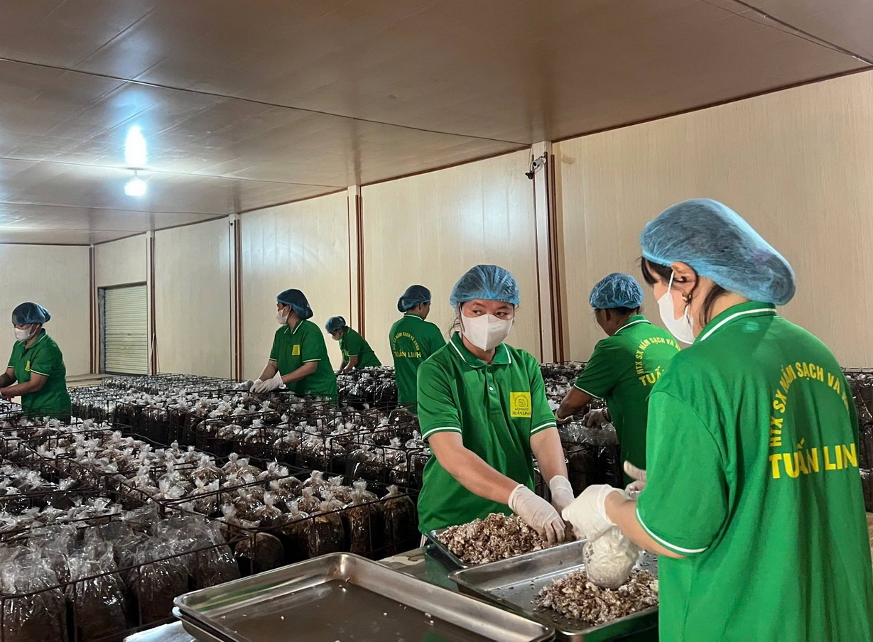 Quảng Trị hiện nay c&oacute; nhiều ch&iacute;nh s&aacute;ch nhằm hỗ trợ cho c&aacute;c doanh nghiệp th&uacute;c đẩy mở rộng thị trường, n&acirc;ng cao năng lực cạnh tranh.