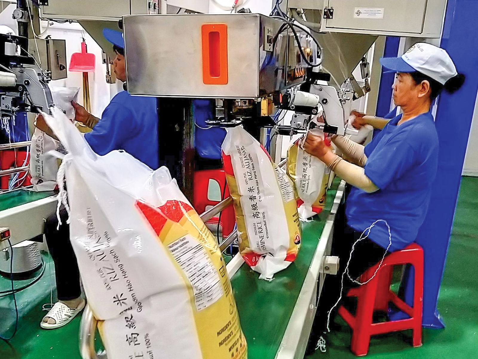 Dây chuyền đóng bao bì gạo xuất khẩu tại Công ty Trung An(ảnh HN)