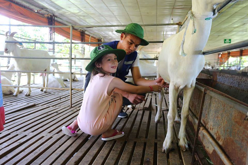Những trải nghiệm tại nông trại Detrang Farm luôn tạo sự hào hứng cho các em nhỏ