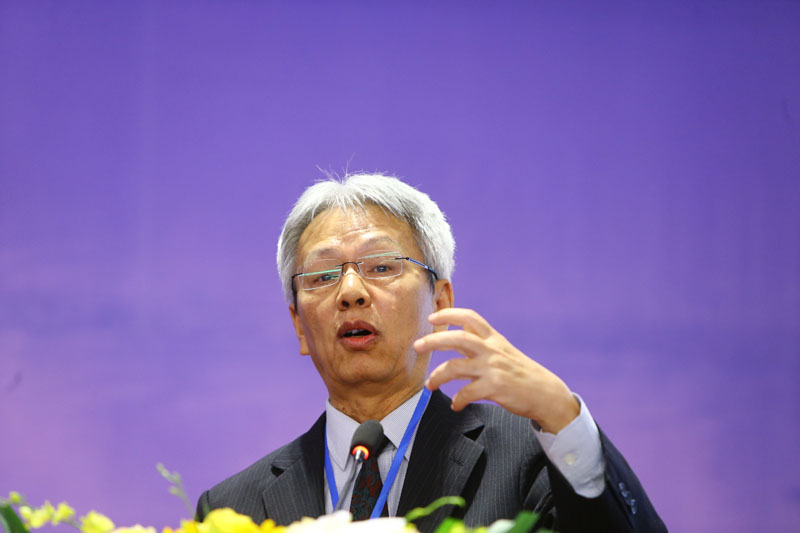 TS. Nguyễn Sĩ Dũng (Ảnh: Đức Thanh)