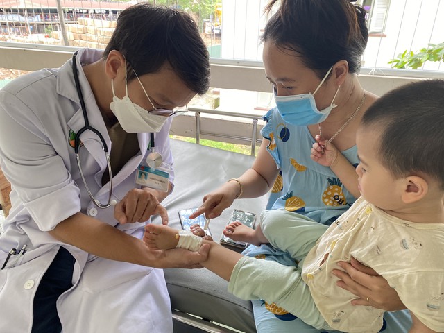 TP.HCM khởi động phòng chống, kiểm soát dịch bệnh TCM trên địa bàn.