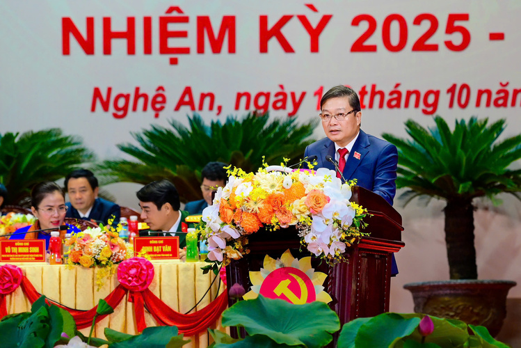 Phó Bí thư Tỉnh ủy, Chủ tịch UBND tỉnh Lê Hồng Vinh phát biểu Đại hội