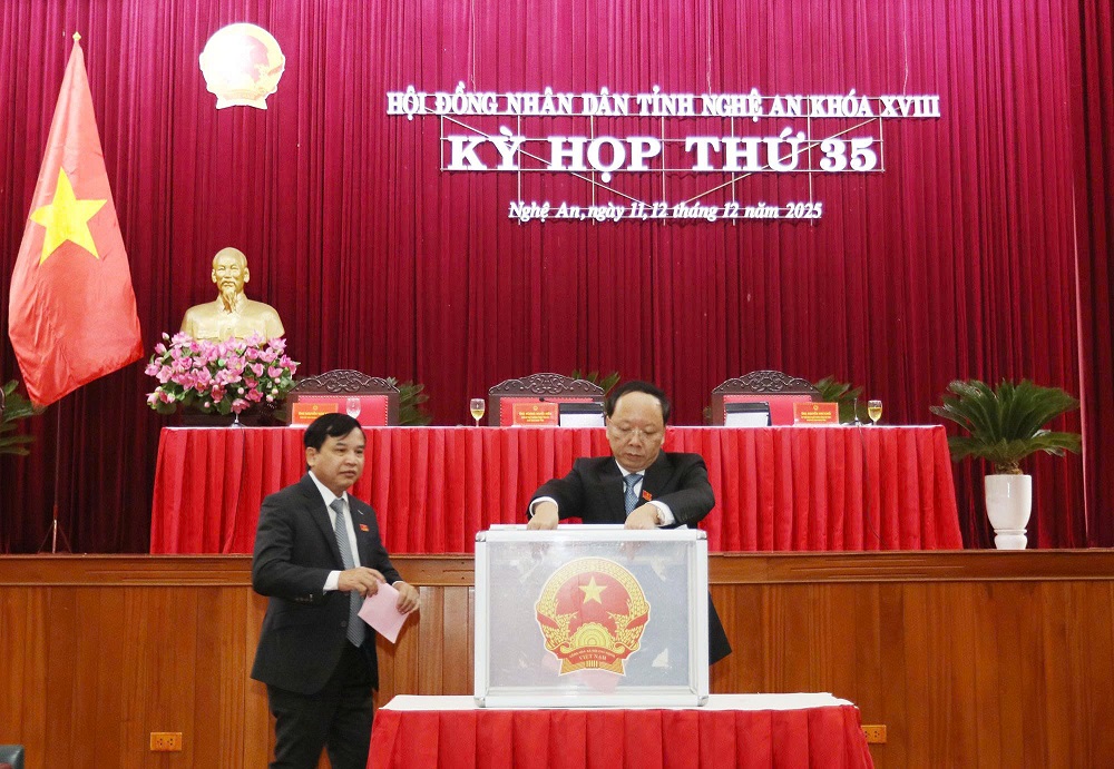 Các đại biểu HĐND tỉnh bỏ phiếu bầu