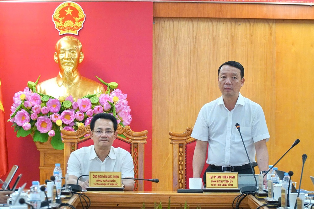 Đại diện Lãnh đạo tỉnh Hà Tĩnh và EVNNPC chủ trì buổi làm việc