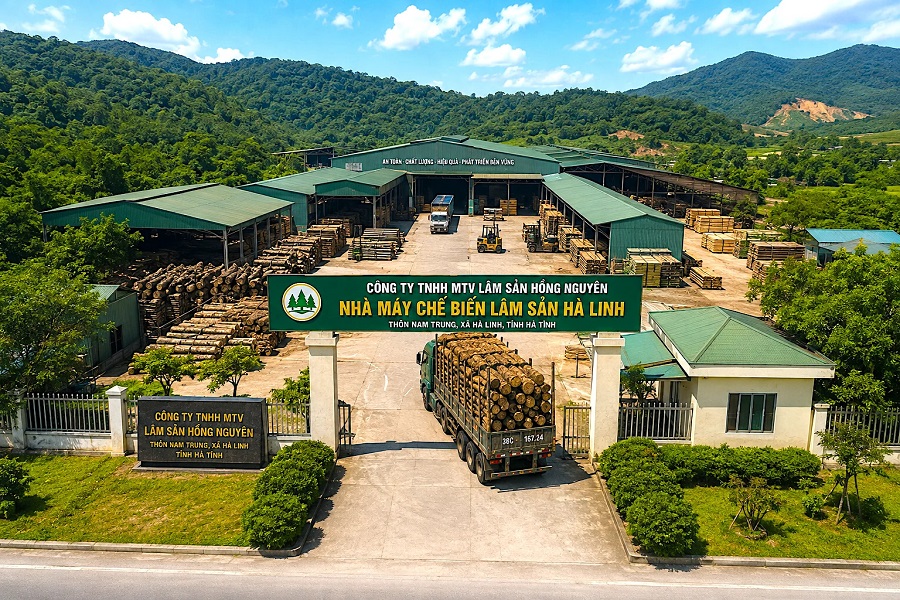 Ảnh minh họa Dự án, nguồn: IA, Báo Dân Việt