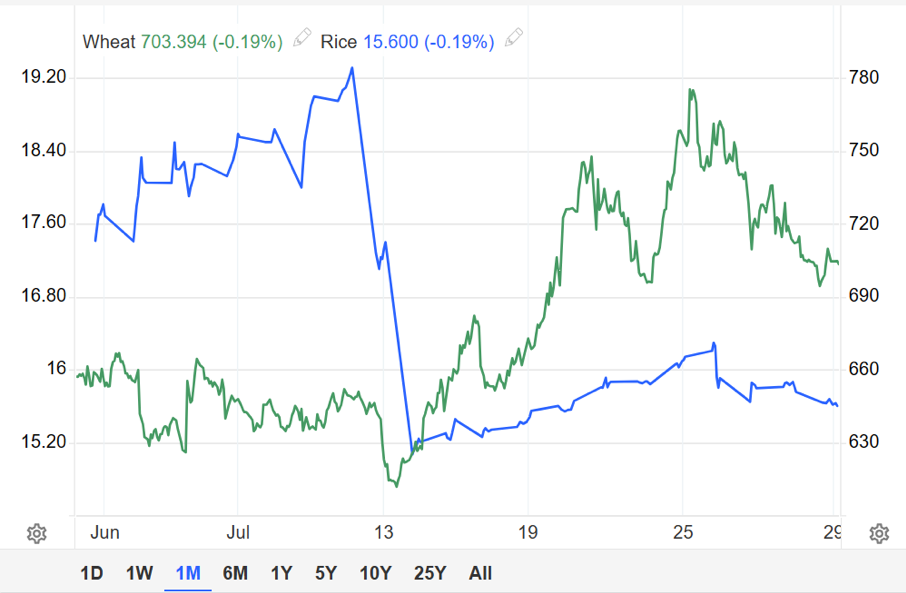 Diễn biến giá gạo và lúa mì 1 tháng qua - Nguồn: TradingEconomics