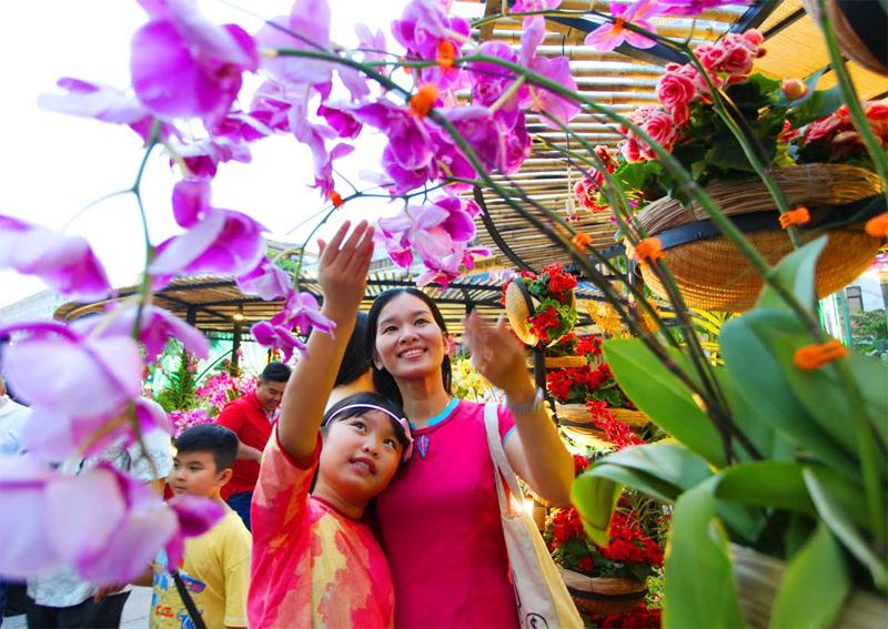 Hoa Lan nở rất đẹp, tạo cảm hứng cho khách du xuân.