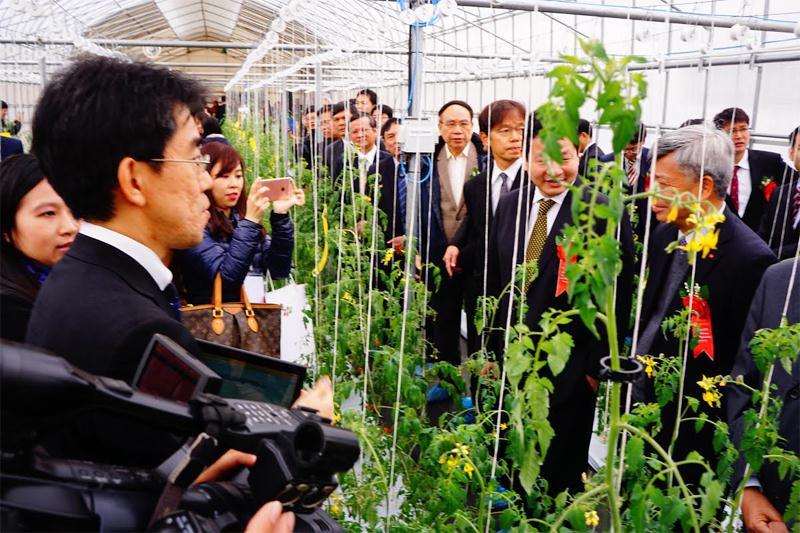 Rất đông quan khách trầm trồ về mô hình nông nghiệp thông minh FPT - Fujitsu