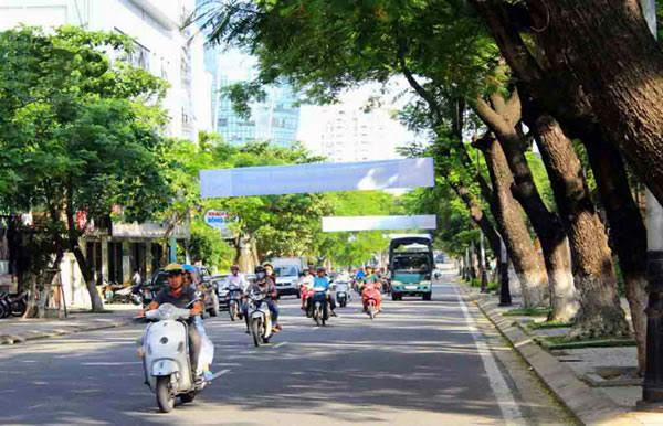 Cây xanh trên đường Trần Phú, TP Đà Nẵng.