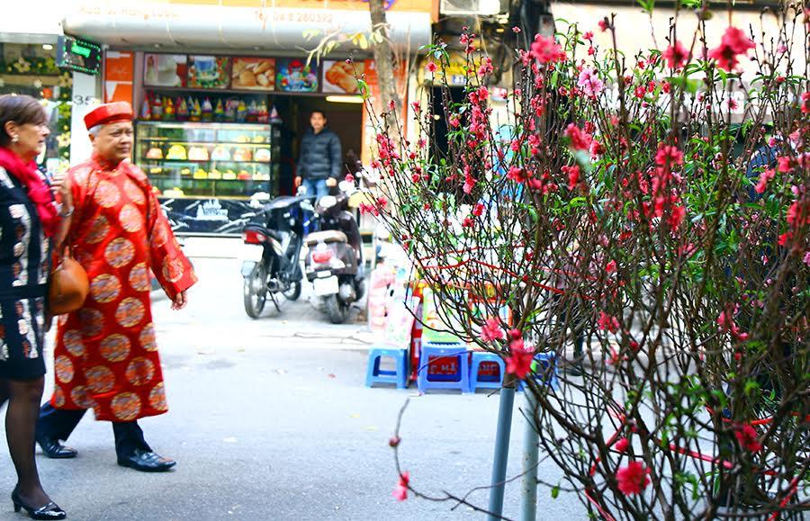 Tại chợ hoa truyền thống Hàng Lược, du khách nước ngoài cũng náo nức với tết Việt.