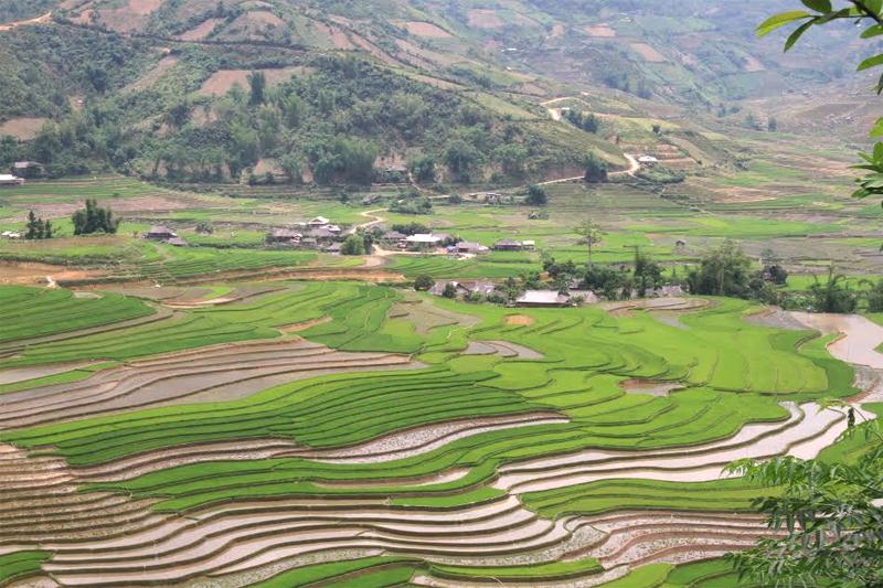 Nước tràn vào các thửa ruộng làm cho đất khô cằn trở nên mềm hơn. Đây cũng là thời điểm người dân xuống mạ cày cấy mùa vụ mới.