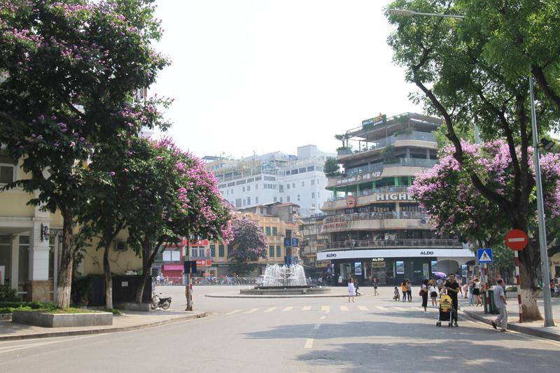 Quảng trường Đông Kinh Nghĩa Thục giữa sắc tím bằng lăng.