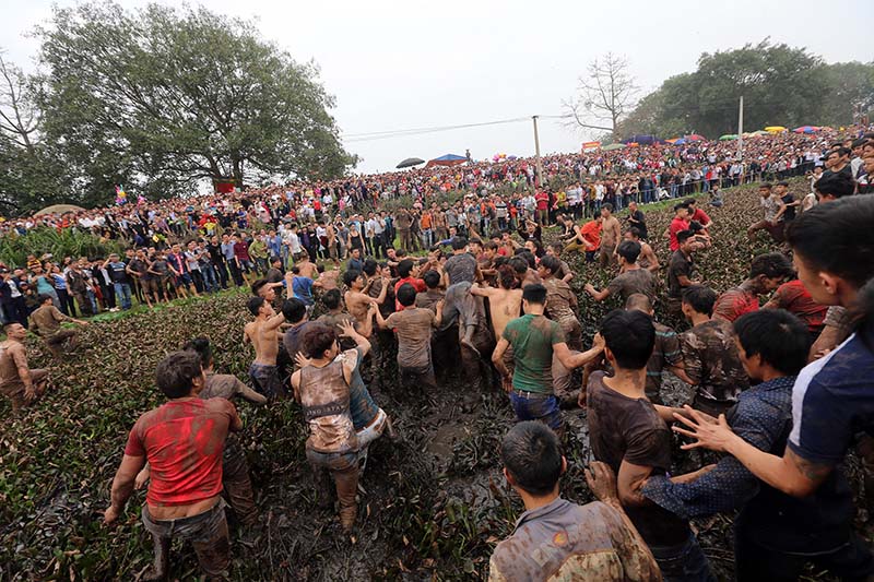 Trong nháy mắt, đám lục bình đã biến mất bởi sự dẫm đạp của những bàn chân to khỏe