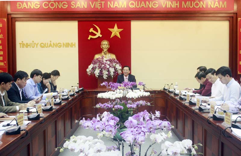 BTV Tỉnh ủy nghe báo cáo chủ trương xây dựng hầm qua Vịnh Cửa Lục và đường bao biển Hạ Long - Cẩm Phả.