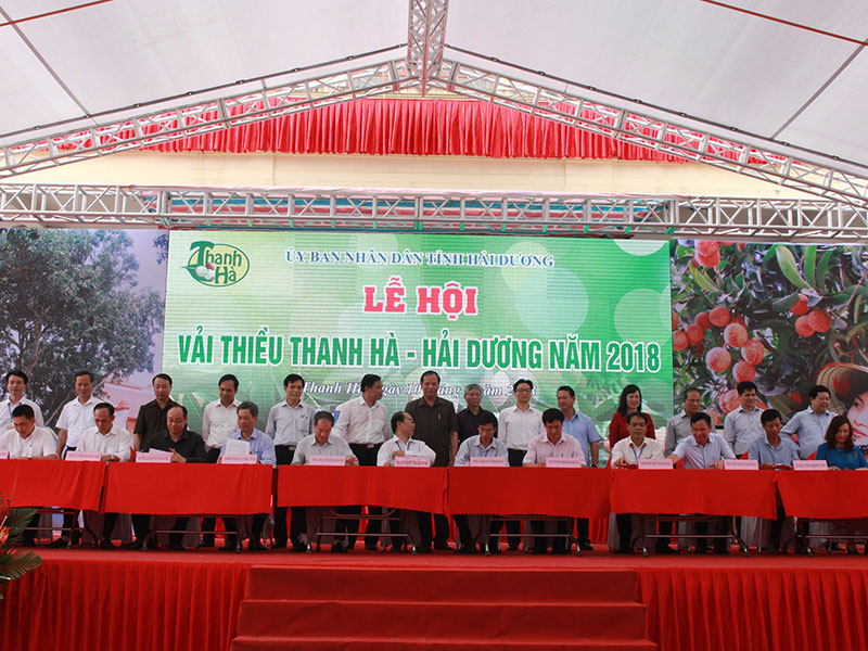 Lễ ký kết giao thương giữa UBND huyện Thanh Hà và các doanh nghiệp tiêu thụ vải thiều.