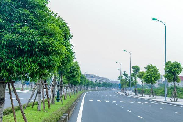 Tuyến đường nội khu rộng với hàng nghìn cây xanh được trồng mới