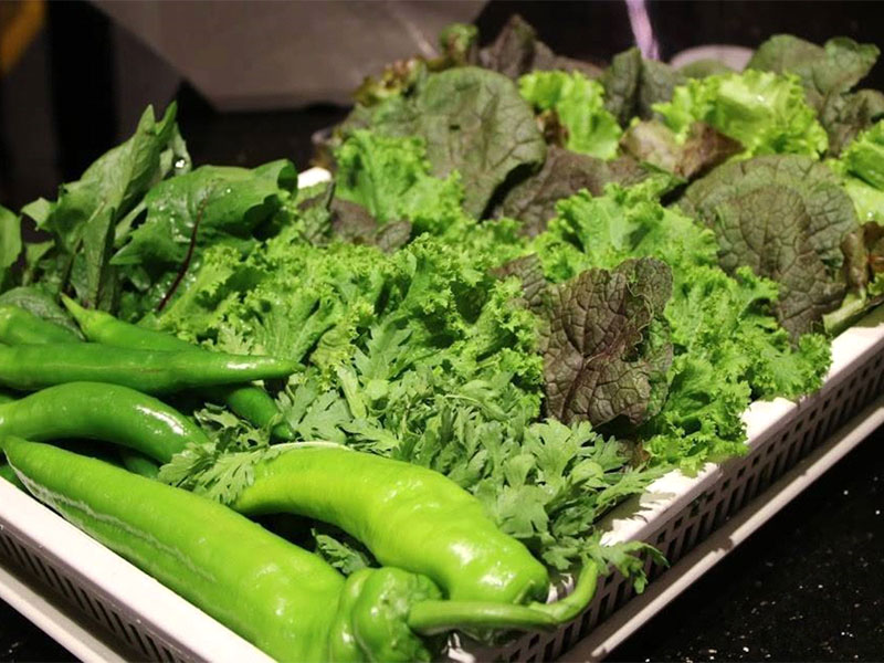 Rau, salad hữu cơ được trồng trên chính nông trường của Meat Plus.