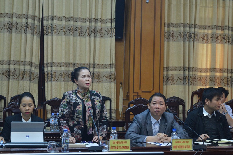 Bà Hoàng Thị Phương – Tổng giám đốc Công ty TNHH đầu tư xây dựng và thương mại Phương Anh, đại diện chủ đầu tư xây dựng Dự án tuyến đường bộ nối 2 tỉnh Thái Bình - Hà Nam, phát biểu tại hội nghị.