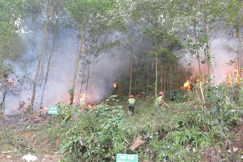 Diễn tập chữa cháy rừng cấp quốc gia 2019 cục Kiểm Lâm.