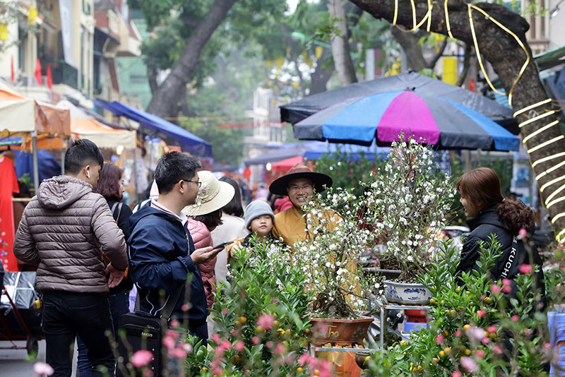 Chợ hoa cổ Hàng Lược luôn tấp lập người mua sắm và thưởng ngoạn