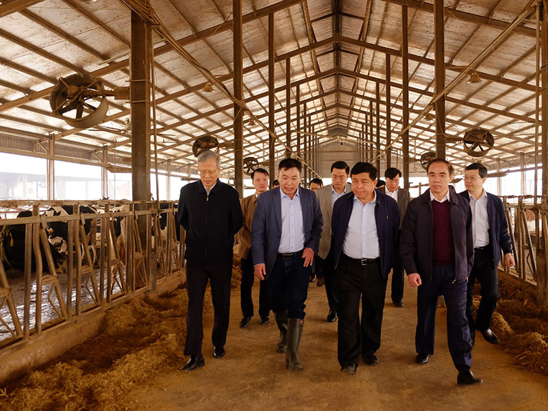 Bộ trưởng Nguyễn Chí Dũng thăm Công ty Hồ Toản, chuyên chăn nuôi bò và chế biến sữa.