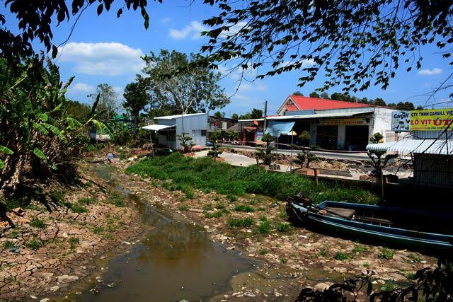 Hạn hán đang diễn ra gay gắt ở tỉnh Cà Mau.