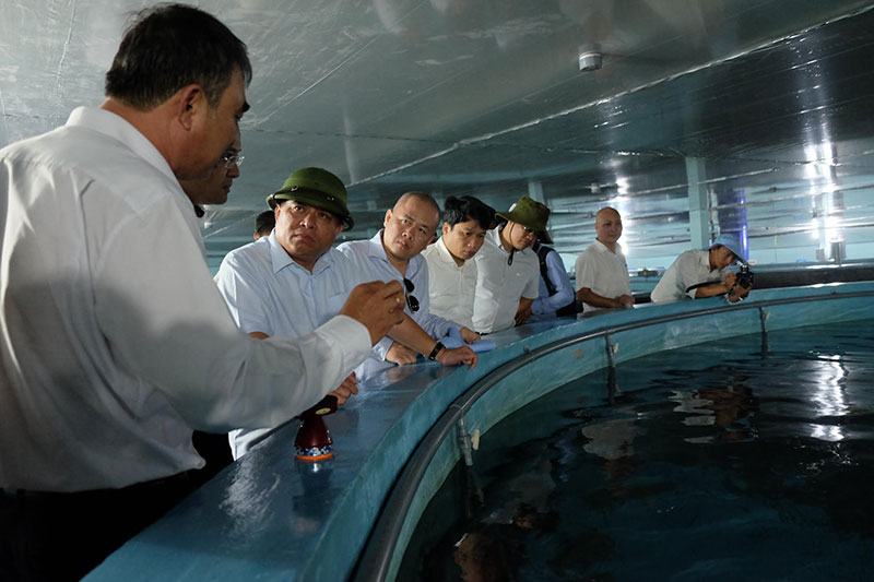 Bộ trưởng Nguyễn Chí Dũng thăm mô hình chăn nuôi thủy sản công nghệ cao Đắc Lộc.