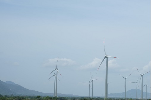 Ninh Thuận thu hút nhiều Dự án điện gió trong thời gian qua. Ảnh: Nhiệt Băng