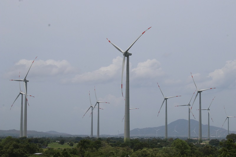 Một Dự án điện gió đang vận hành ở Ninh Thuận. Ảnh: Linh Đan