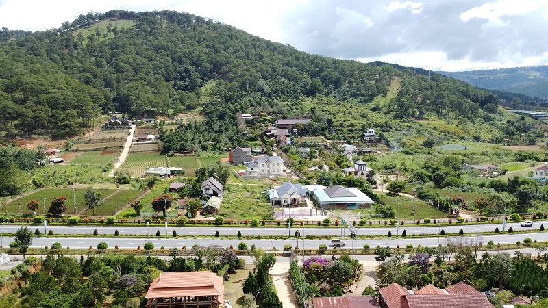 Diện t&iacute;ch rừng tự nhi&ecirc;n