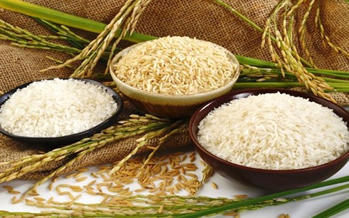 Xuất khẩu gạo của Việt Nam 6 tháng đầu năm 2018 ước đạt 3,56 triệu tấn (ảnh minh họa: KT)