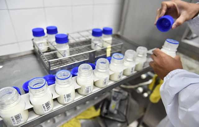 Sữa organic chuẩn Hà Lan được sản xuất tại nhà máy chuyên biệt