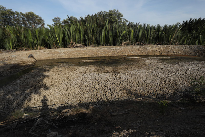 Một đầm tôm bị khô hạn tại ĐBSCL