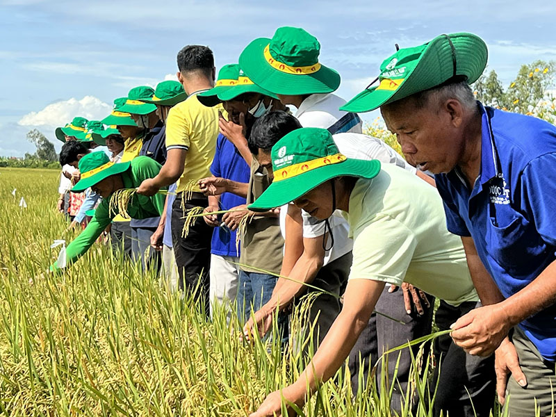 Phát triển mô hình nhà nông làm du lịch  Đài Phát thanh và Truyền hình  Long An