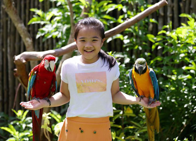 Trẻ em thích thú với các chú vẹt ở Safari - Vinpearl Phú Quốc.