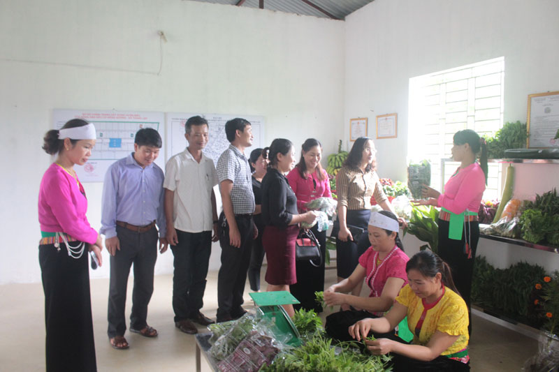 Thăm mô hình rau hữu cơ của HTX Đồng Sương, xã Thành Lập (Lương Sơn)