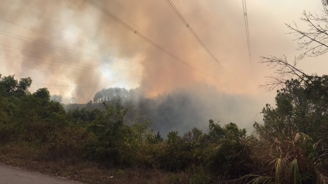 cháy rừng tại huyện Hương Thủy, tỉnh Thừa Thiên Huế làm tình hình cấp điện cũng trở nên căng thẳng
