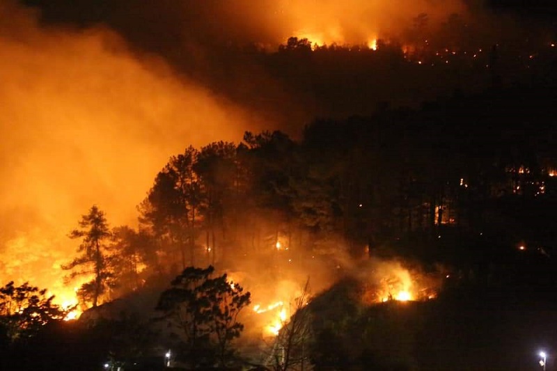 Cháy rừng trên địa bàn xã Sơn Thủy và xã Sơn Châu, đe dọa tới một số đường dây điện trong khu vực 