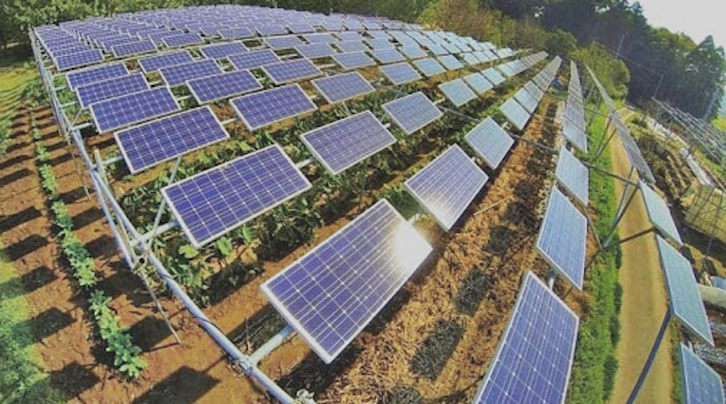 Dự án nông nghiệp công nghệ cao được tận dụng đầu tư thêm điện mặt trời áp mái 