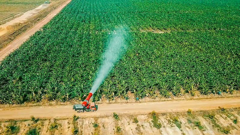 Sản xuất nông nghiệp quy mô lớn của THACO 